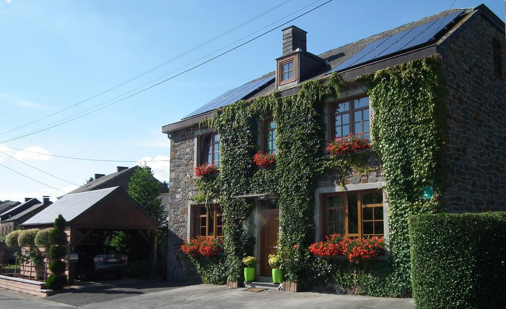 Ardennes Woods Marche-en-Famenne Quarto foto